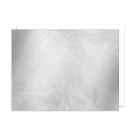 Wrap Alluminio Doppio Strato Carta Argento 30,5x30,5cm (2.000 Pezzi)