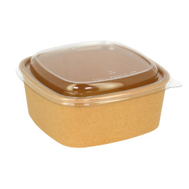 Coperchio di Plastica RPET Trasparente 17x17cm (50 Pezzi)