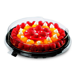 Contenitore di Plastica per Torta APET Nero Ø24cm (160 Pezzi)
