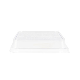 Coperchio PLA Contenitori di Canna da Zucchero 18,5x18,5cm (300 Pezzi)