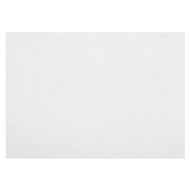 Tovaglietta Non Tessuto Bianco 30x40cm 55g (500 Pezzi)