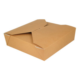 Contenitore di Cibo Naturale 21,7x21,7x6cm 2910ml (140 Pezzi)