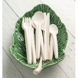 Cucchiaino di Carta Bianco 13cm (50 Pezzi)