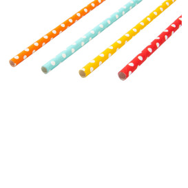 Cannuccia Dritta di Carta Punti Ø6mm 21cm (3.000 Pezzi)