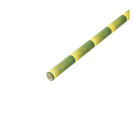 Cannuccia Dritta di Carta bamboo Ø6mm 21cm (250 Pezzi)