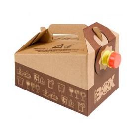 Thermo Monouso di Cartone 3.000 ml (1 Unità)