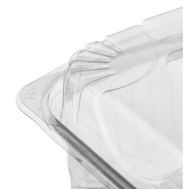 Contenitore Coperchio Cerniera PLA 20,0x20,0x7,5cm (80 Pezzi)
