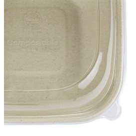 Contenitori Canna Zucchero e Coperchio 750ml 190x190x80mm (90 Pezzi)