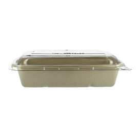 Contenitori Canna Zucchero con Coperchio 950ml 230x160x60mm (15 Pezzi)