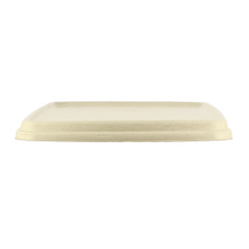 Coperchio Canna da Zucchero per Contenitori 230x230mm (75 Pezzi)