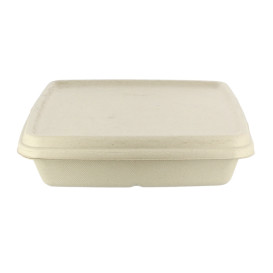 Coperchio Canna da Zucchero per Contenitori 230x230mm (75 Pezzi)