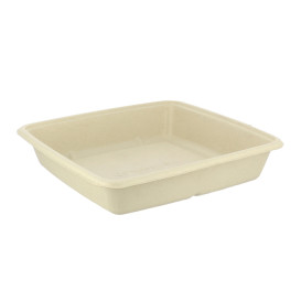 Contenitori Canna da Zucchero 1000ml 230x230x30mm (75 Pezzi)