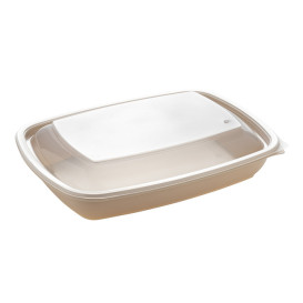 Coperchio per Contenitori di Plastico Nero e Crema 23x16,5cm (75 Pezzi)