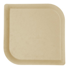 Piatto Bagassa e Bambu Naturale 23,8 cm (400 Pezzi)