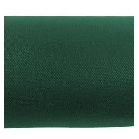 Tovaglia Rotolo Non Tessuto Verde 1,2x50m 50g (1 Pezzo)
