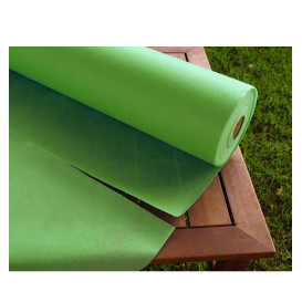 Tovaglia Rotolo Non Tessuto Pistacchio 1,2x50m 50g (1 Unità)