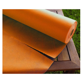 Tovaglia Rotolo Non Tessuto Arancione 1,2x50m 50g (6 Pezzi)