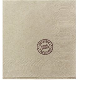 Tovagliolo di Carta Eco "Recycled" 33x33cm 1V (100 Pezzi)