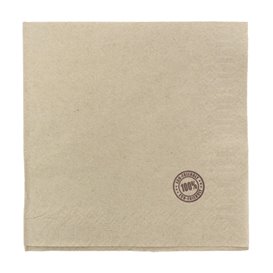 Tovagliolo di Carta Eco "Recycled" 33x33cm 1V (100 Pezzi)