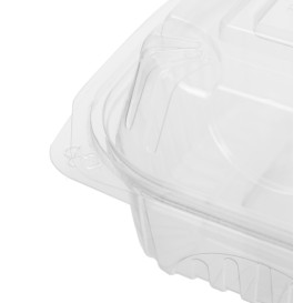 Contenitore Coperchio Cerniera PLA 15,0x15,0x7,5cm (80 Pezzi)