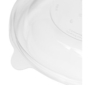 Contenitore con Coperchio PLA 530ml (50 Pezzi)