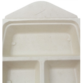 Contenitori Canna Zucchero 3S Box to Go 21x21x4cm 900ml (100 Pezzi)