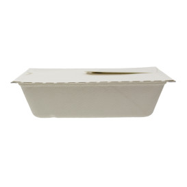 Contenitori Canna Zucchero Box to Go 21x15x5cm 1000ml (75 Pezzi)