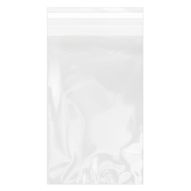 Sacchetti di Polipropilene  BOPP Piega Adesivo 12x18cm G160 (100 Pezzi)