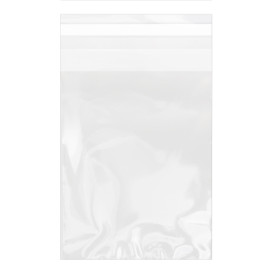 Sacchetti di Polietilene BOPP Piega Adesivo 15x22cm G160 (100 Pezzi)
