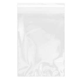 Sacchetti di Polipropilene  BOPP Piega Adesivo 18x25cm G160 (100 Pezzi)