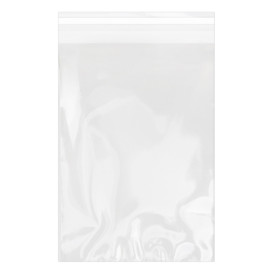 Sacchetti di Polipropilene  BOPP Piega Adesivo 20x30cm G160 (100 Pezzi)