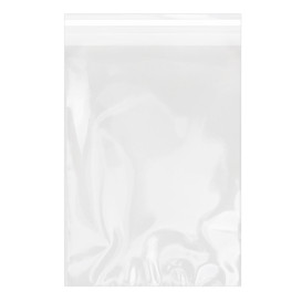 Sacchetti di Polipropilene  BOPP Piega Adesivo 25x35cm G160 (100 Pezzi)