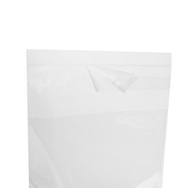 Sacchetti di Polipropilene BOPP Piega Adesivo 10x15cm G160 (100 Pezzi)