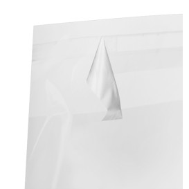 Sacchetti di Polipropilene BOPP Piega Adesivo 22x32cm G160 (100 Pezzi)