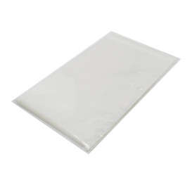 Sacchetti di Polipropilene BOPP Piega Adesivo 22x32cm G160 (100 Pezzi)
