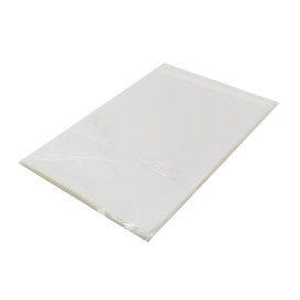Sacchetti di Polipropilene  BOPP Piega Adesivo 25x35cm G160 (100 Pezzi)