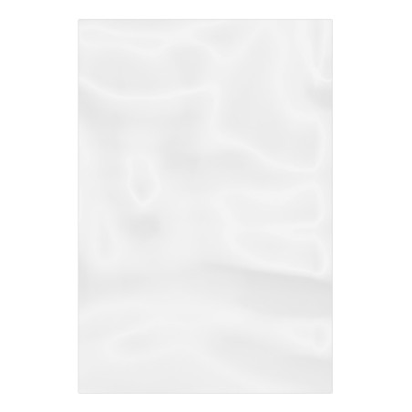 Sacchetti di Polietilene Senza Chiusura 10x15cm G100 (1000 Pezzi)