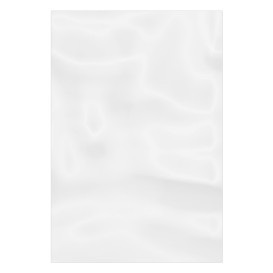 Sacchetti di Polietilene Senza Chiusura 20x30cm G100 (1000 Pezzi)