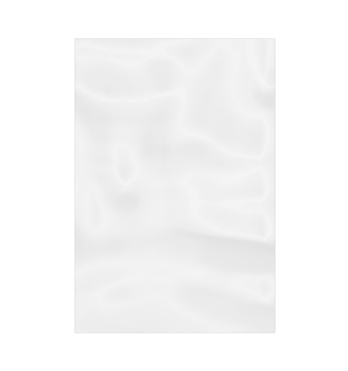 Sacchetti di Polietilene Senza Chiusura 20x30cm G100 (1000 Pezzi)