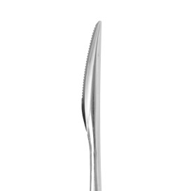 Coltello in Acciaio Inox 17,5cm (12 Pezzi)