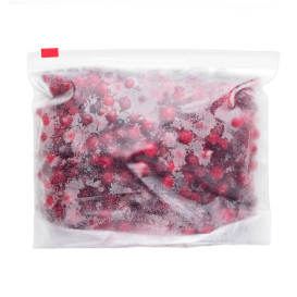 Sacchetti PE Chiusura a Cursore 24x32cm G250 (100 Pezzi)