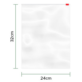 Sacchetti PE Chiusura a Cursore 24x32cm G250 (100 Pezzi)