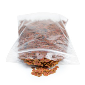 Sacchetti con Chiusura Zip 23x32cm G-160 (100 Pezzi)