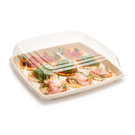 Coperchio plastica PET Trasp. Vassoio 40x40cm (5 Pezzi)