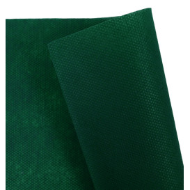 Tovaglietta Non Tessuto Verde 35x50cm 50g (500 Pezzi)