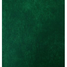 Tovaglietta Non Tessuto Verde 35x50cm 50g (500 Pezzi)