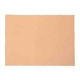 Tovaglia di Carta Rotolo Salmone 1x100m 40g (6 Unità)