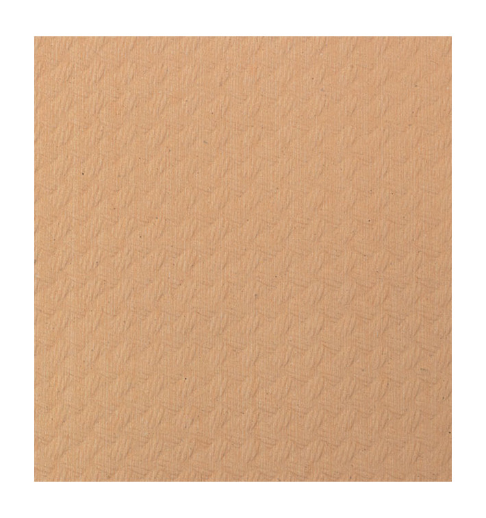 Tovaglia di Carta Rotolo Salmone 1x100m 40g (6 Unità) Tovaglia di Carta Rotolo Salmone 1x100m 40g (6 Unità)