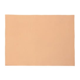 Tovaglia di Carta Rotolo Salmone 1x100m 40g (1 Unità)
