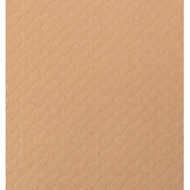 Tovaglia di Carta Rotolo Salmone 1x100m 40g (1 Unità)